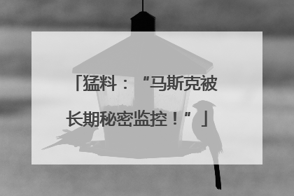 猛料：“马斯克被长期秘密监控！”