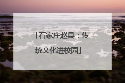 石家庄赵县：传统文化进校园