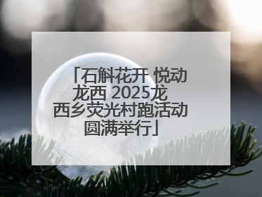 石斛花开 悦动龙西 2025龙西乡荧光村跑活动圆满举行