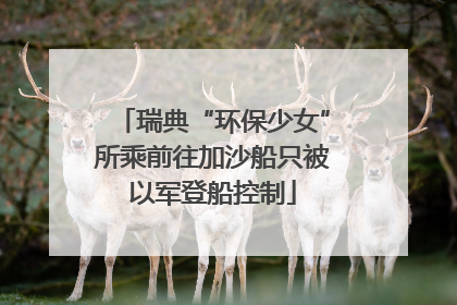 瑞典“环保少女”所乘前往加沙船只被以军登船控制