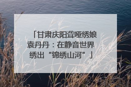甘肃庆阳聋哑绣娘袁丹丹：在静音世界绣出“锦绣山河”