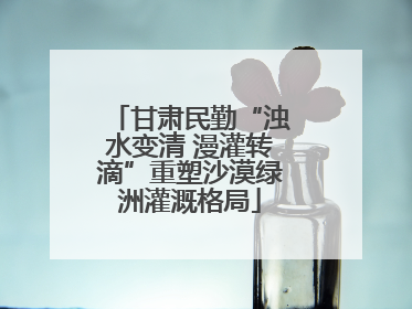 甘肃民勤“浊水变清 漫灌转滴”重塑沙漠绿洲灌溉格局