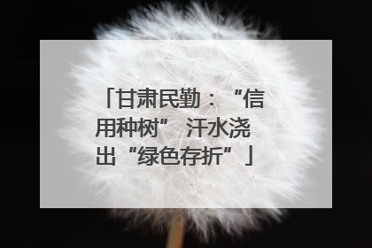 甘肃民勤：“信用种树” 汗水浇出“绿色存折”