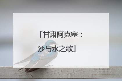 甘肃阿克塞：沙与水之歌