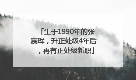 生于1990年的张宸珲，升正处级4年后，再有正处级新职