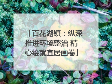 百花湖镇：纵深推进环境整治 精心绘就宜居画卷