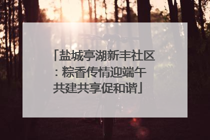 盐城亭湖新丰社区：粽香传情迎端午 共建共享促和谐