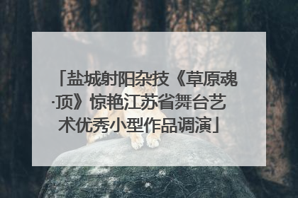 盐城射阳杂技《草原魂·顶》惊艳江苏省舞台艺术优秀小型作品调演