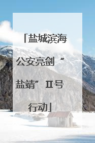 盐城滨海公安亮剑“盐靖”Ⅱ号行动