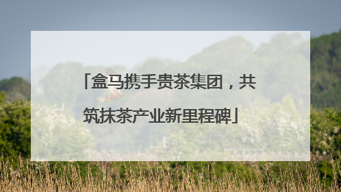 盒马携手贵茶集团，共筑抹茶产业新里程碑