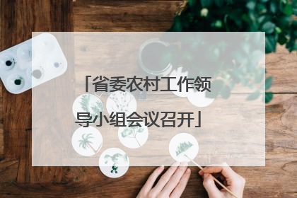 省委农村工作领导小组会议召开