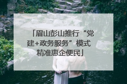 眉山彭山推行“党建+政务服务”模式 精准惠企便民