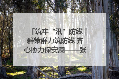 筑牢“汛”防线｜群策群力筑防线 齐心协力保安澜——张家界高新区上下众志成城迎战汛情