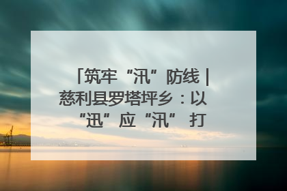 筑牢“汛”防线｜慈利县罗塔坪乡：以“迅”应“汛” 打赢暴雨防御战