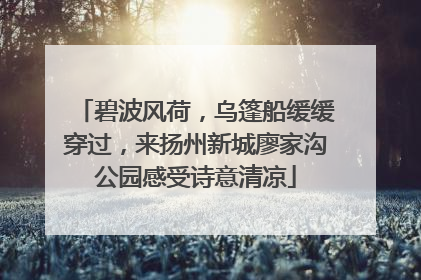 碧波风荷，乌篷船缓缓穿过，来扬州新城廖家沟公园感受诗意清凉