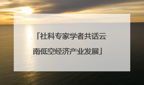 社科专家学者共话云南低空经济产业发展