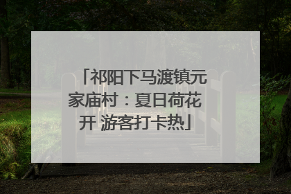 祁阳下马渡镇元家庙村：夏日荷花开 游客打卡热