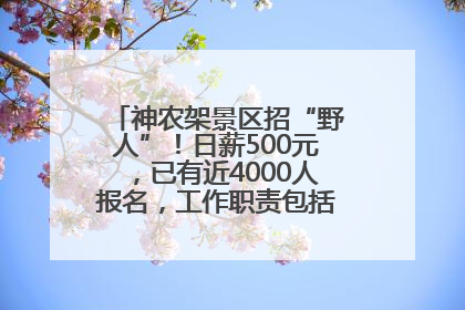 神农架景区招“野人”！日薪500元，已有近4000人报名，工作职责包括“接受游客投喂”
