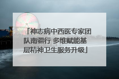 神志病中西医专家团队南疆行 多维赋能基层精神卫生服务升级