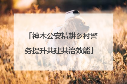 神木公安精耕乡村警务提升共建共治效能