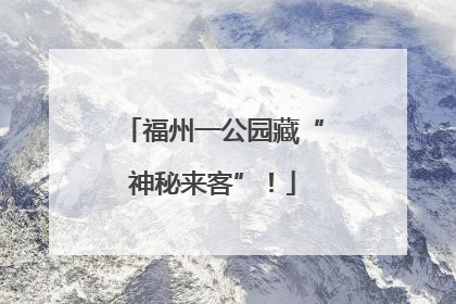 福州一公园藏“神秘来客”！