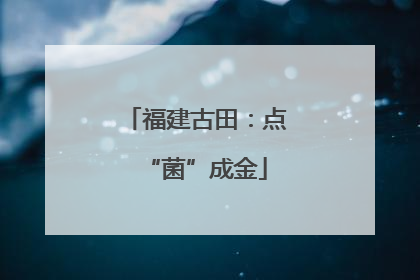 福建古田：点“菌”成金