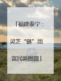 福建泰宁：灵芝“链”出富民新图景
