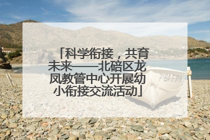 科学衔接，共育未来——北碚区龙凤教管中心开展幼小衔接交流活动