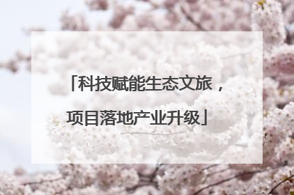 科技赋能生态文旅，项目落地产业升级