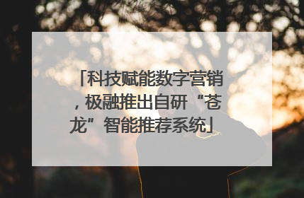 科技赋能数字营销，极融推出自研“苍龙”智能推荐系统