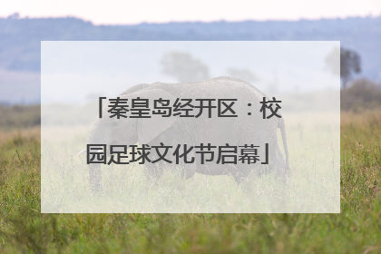 秦皇岛经开区：校园足球文化节启幕
