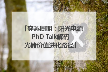 穿越周期：阳光电源PhD Talk解码光储价值进化路径