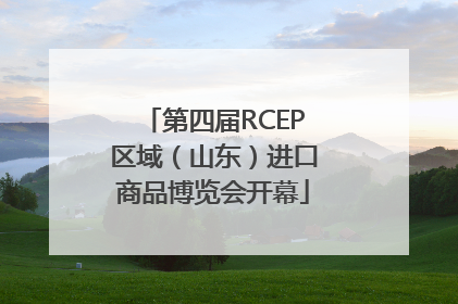 第四届RCEP区域（山东）进口商品博览会开幕