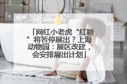 网红小老虎“红糖”将暂停展出？上海动物园：展区改建，会安排展出计划