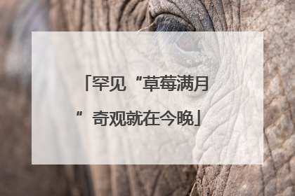 罕见“草莓满月”奇观就在今晚