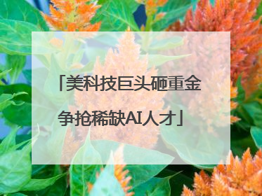 美科技巨头砸重金争抢稀缺AI人才
