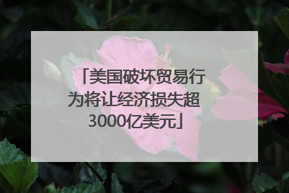 美国破坏贸易行为将让经济损失超3000亿美元