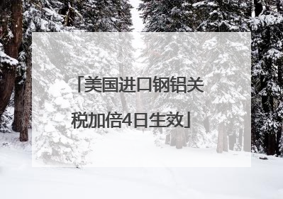 美国进口钢铝关税加倍4日生效