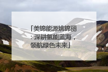 美锦能源姚锦丽：深耕氢能蓝海，领航绿色未来
