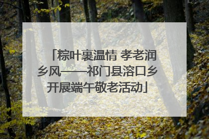 粽叶裹温情 孝老润乡风——祁门县溶口乡开展端午敬老活动