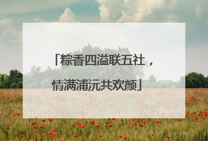 粽香四溢联五社，情满浦沅共欢颜