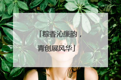 粽香沁廉韵，青创展风华