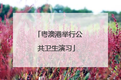 粤澳港举行公共卫生演习