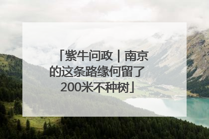 紫牛问政|南京的这条路缘何留了200米不种树