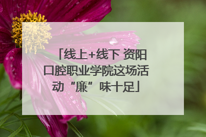 线上+线下 资阳口腔职业学院这场活动“廉”味十足
