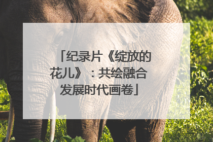 纪录片《绽放的花儿》：共绘融合发展时代画卷