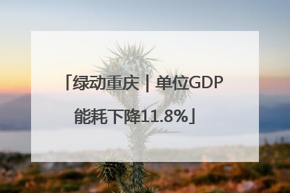 绿动重庆｜单位GDP能耗下降11.8%