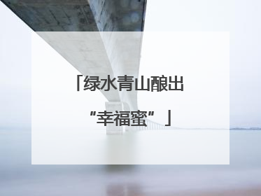 绿水青山酿出“幸福蜜”