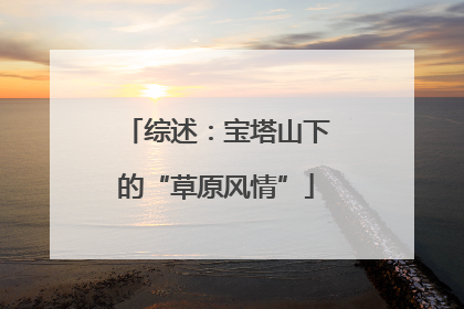 综述：宝塔山下的“草原风情”