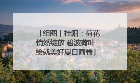 组图｜桂阳：荷花悄然绽放 碧波荷叶绘就美好夏日画卷